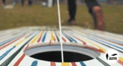 The Regulator 12 The Regulator -Custom Cornhole 2853658526 38447.1715038664