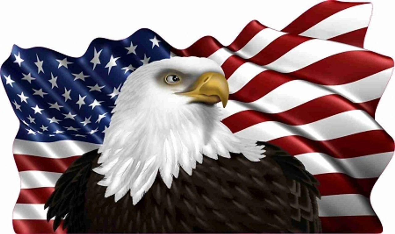 Eagle Flag Cornhole Decal 1 Eagle Flag Cornhole Decal