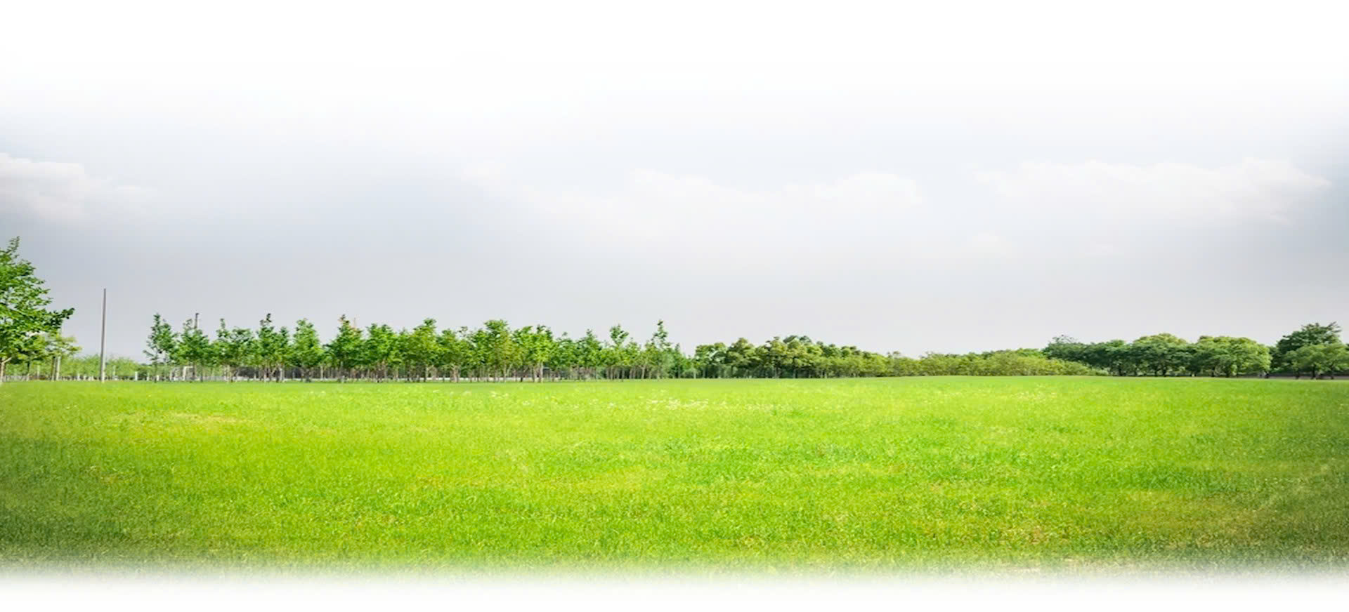 Custom Cornhole 21 Custom Cornhole -Custom Cornhole z7307819911124 7f693ba2206a5c2e91de55fdb8c936e0